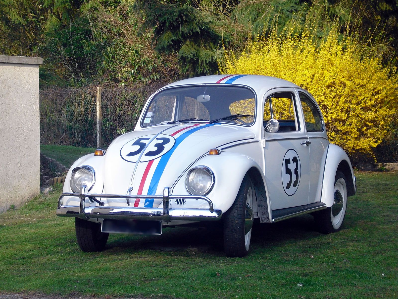 Volkswagen Coccinelle : cette voiture qui a fait l'Histoire